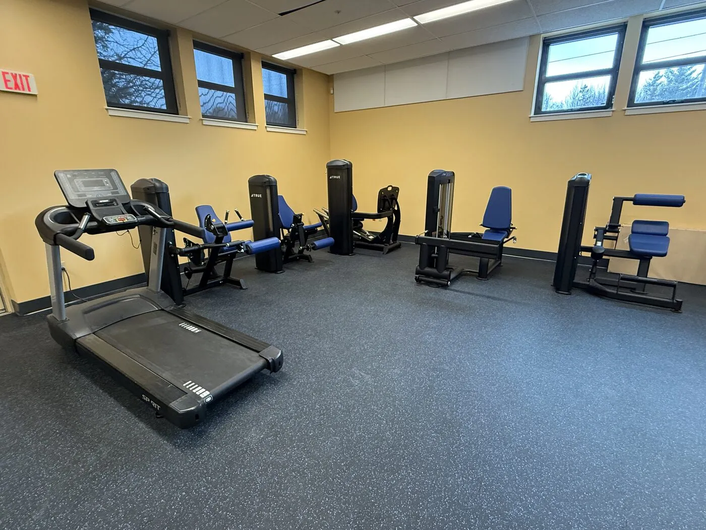 Commercial fitness room with a treadmill and a row of strength machines on rubber flooring